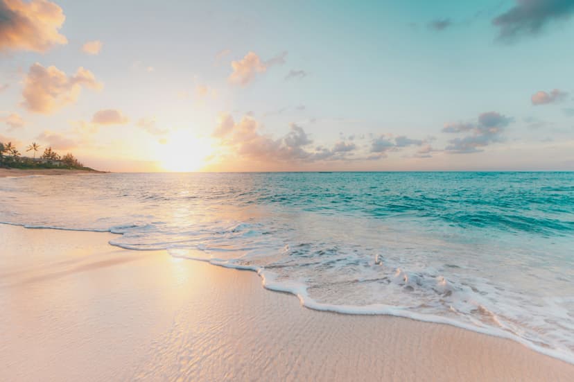 Beach Paradise